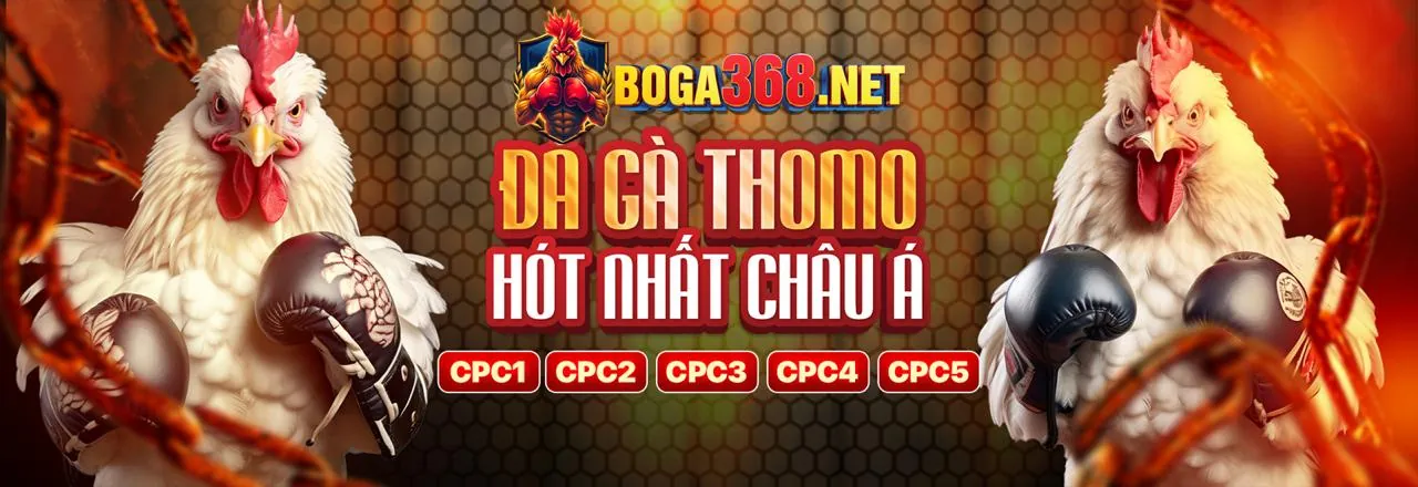 Các kênh liên hệ chính thức của dom88